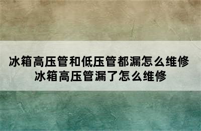 冰箱高压管和低压管都漏怎么维修 冰箱高压管漏了怎么维修